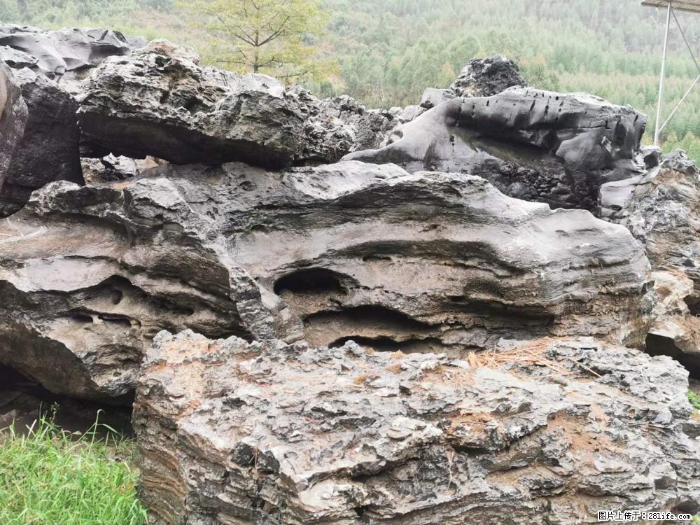 风景石、假山石大量有货，有需要的欢迎联系 - 新手上路 - 南京生活社区 - 南京28生活网 nj.28life.net