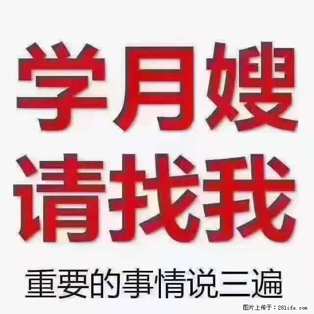 为什么要学习月嫂，育婴师？ - 新手上路 - 南京生活社区 - 南京28生活网 nj.28life.net