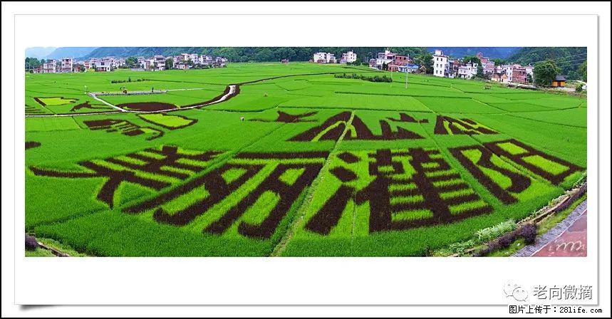 【春天，广西桂林灌阳县向您发出邀请！】开篇 - 游山玩水 - 南京生活社区 - 南京28生活网 nj.28life.net