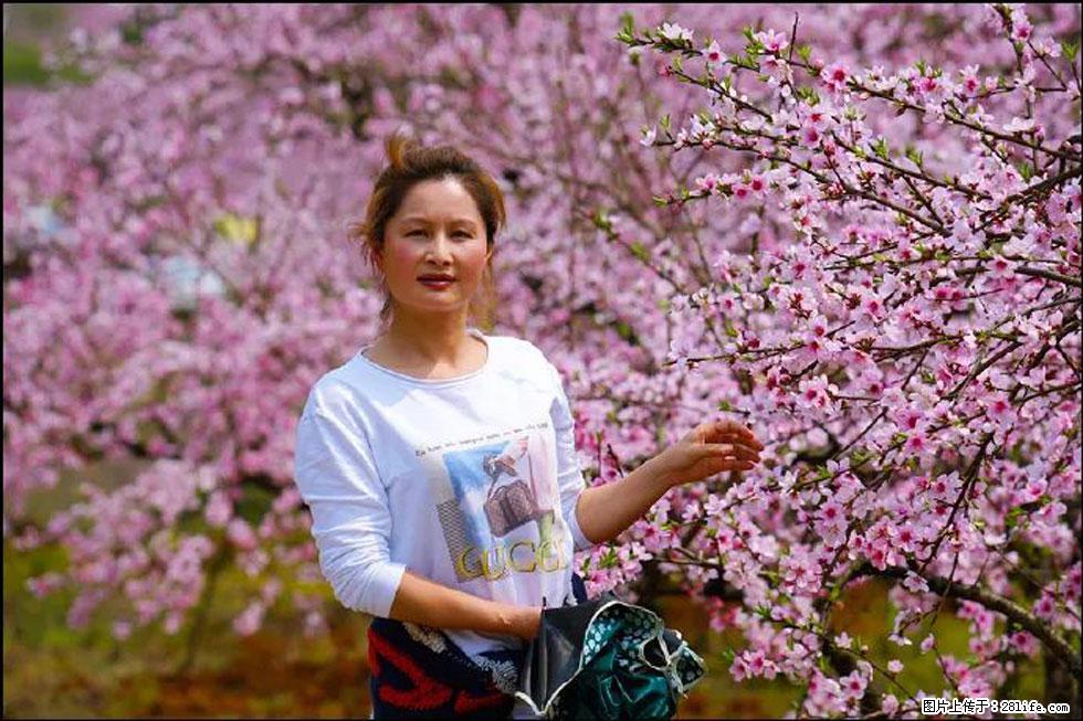 【春天，广西桂林灌阳县向您发出邀请！】官庄村有个醉美的桃花园 - 游山玩水 - 南京生活社区 - 南京28生活网 nj.28life.net