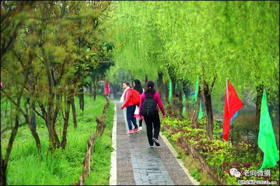 【春天，广西桂林灌阳县向您发出邀请！】江口老街又逢春 - 游山玩水 - 南京生活社区 - 南京28生活网 nj.28life.net