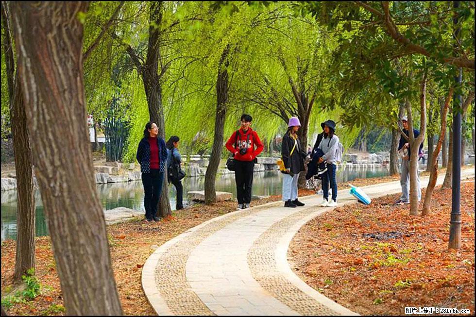 【春天，广西桂林灌阳县向您发出邀请！】江口老街又逢春 - 游山玩水 - 南京生活社区 - 南京28生活网 nj.28life.net