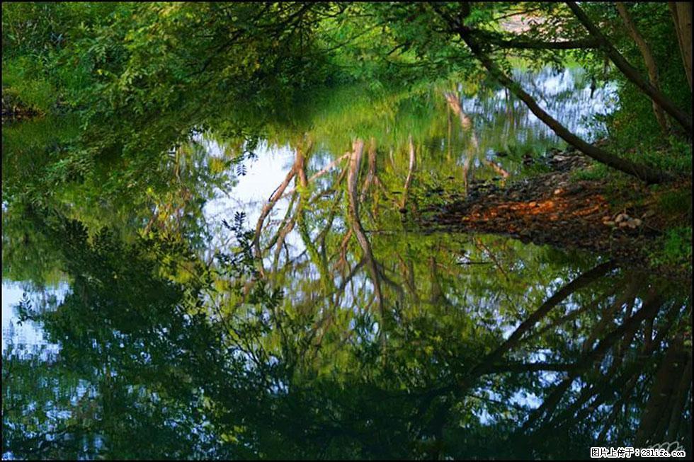 【春天，广西桂林灌阳县向您发出邀请！】熊家寨湿地公园 - 游山玩水 - 南京生活社区 - 南京28生活网 nj.28life.net