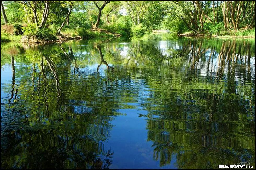 【春天，广西桂林灌阳县向您发出邀请！】熊家寨湿地公园 - 游山玩水 - 南京生活社区 - 南京28生活网 nj.28life.net