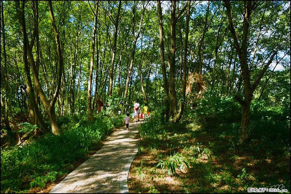 【春天，广西桂林灌阳县向您发出邀请！】熊家寨湿地公园 - 游山玩水 - 南京生活社区 - 南京28生活网 nj.28life.net