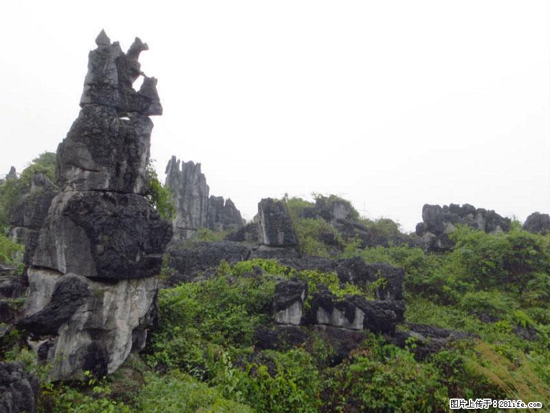 桂林旅游名城景点:灌阳文市石林 - 游山玩水 - 南京生活社区 - 南京28生活网 nj.28life.net