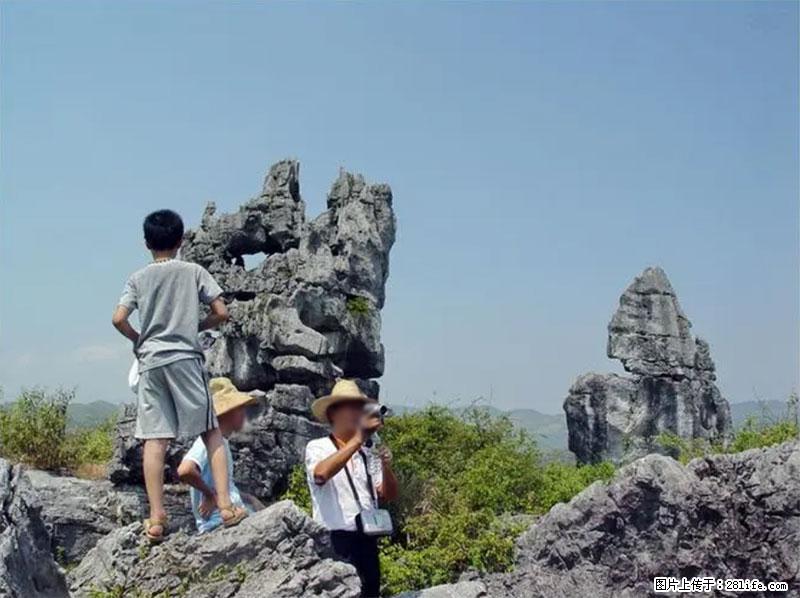 桂林旅游名城景点:灌阳文市石林 - 游山玩水 - 南京生活社区 - 南京28生活网 nj.28life.net