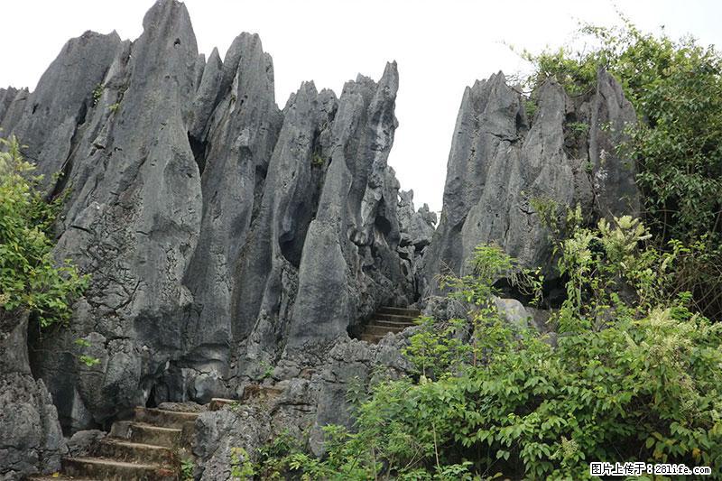 桂林旅游名城景点:灌阳文市石林 - 游山玩水 - 南京生活社区 - 南京28生活网 nj.28life.net