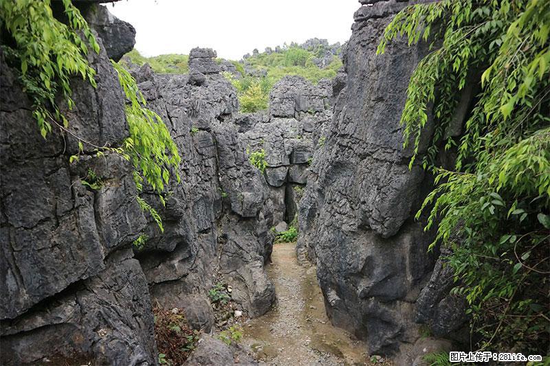 桂林旅游名城景点:灌阳文市石林 - 游山玩水 - 南京生活社区 - 南京28生活网 nj.28life.net
