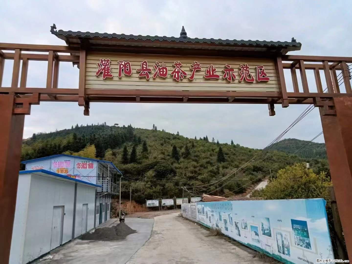 【灌阳县油茶产业示范区】一个有着充实的精神生活的人,对待身外之物自会有一种淡泊的态度 - 美食天地 - 南京生活社区 - 南京28生活网 nj.28life.net