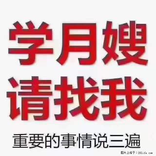 为什么要学习月嫂，育婴师？ - 南京28生活网 nj.28life.net