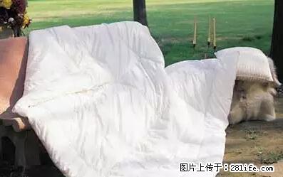 被子有异味?只要这样做,比晒太阳还强100倍! - 家居生活 - 南京生活社区 - 南京28生活网 nj.28life.net