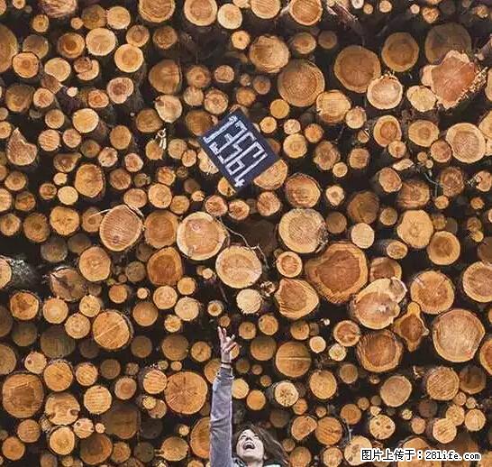 辞掉工作周游世界？现在他们在洗厕所…… - 游山玩水 - 南京生活社区 - 南京28生活网 nj.28life.net