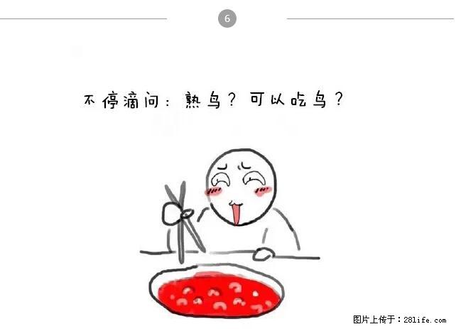 千万不要和这9种哈卵一起吃火锅！ - 美食天地 - 南京生活社区 - 南京28生活网 nj.28life.net