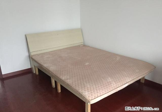 精装修房 交通方便 采光好 温馨住房 大二房 - 房屋出租 - 房屋租售 - 南京分类信息 - 南京28生活网 nj.28life.net