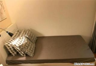 南农大学 童卫路 卫岗 近下马坊地铁 精装月付 无中介 - 南京28生活网 nj.28life.net