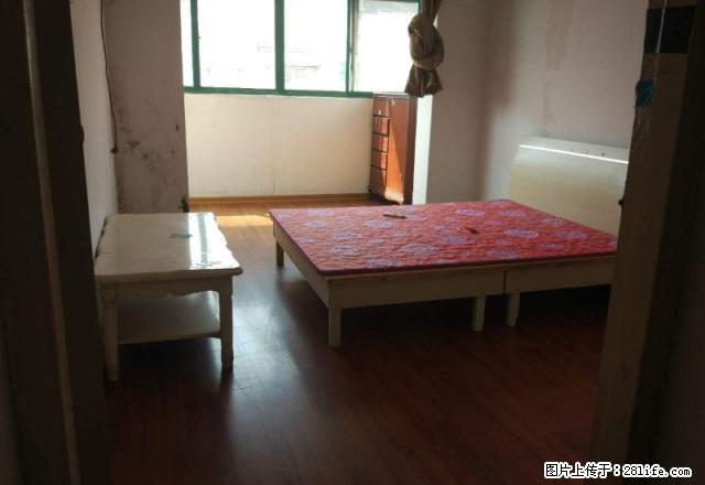 幸福筑家 马群 百水家园 两室一厅 户型方正 南北通透 随 - 房屋出租 - 房屋租售 - 南京分类信息 - 南京28生活网 nj.28life.net