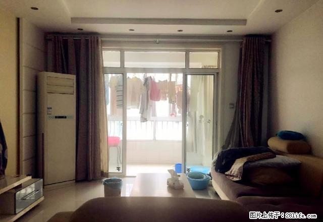 岔路口 天地新城 精装两房 繁华商圈生活区 拎包即住 - 房屋出租 - 房屋租售 - 南京分类信息 - 南京28生活网 nj.28life.net