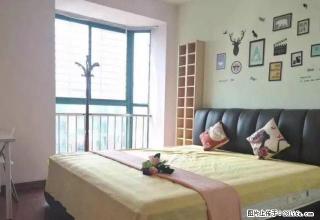 (单间出租)鼓楼地铁口玄武门地铁口紫峰大厦高楼门环亚瑟琳广场精装电梯单间 - 南京28生活网 nj.28life.net