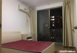 (单间出租)梦都大街地铁口 绿博园 奥体 兴隆大街 主卧带阳台 无中介费 - 南京28生活网 nj.28life.net
