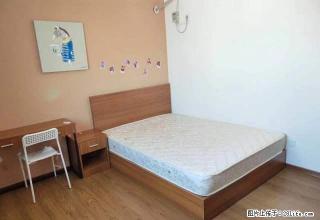 (单间出租)佳日雅苑 鸿意地产大厦 夫子庙 际华广场 武定门 雨花门月付 - 南京28生活网 nj.28life.net