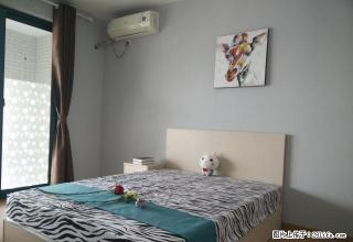 (单间出租)可短租九龙湖地铁殷巷附近 颐和南园 康博花园 中粮彩云居精装 - 南京28生活网 nj.28life.net