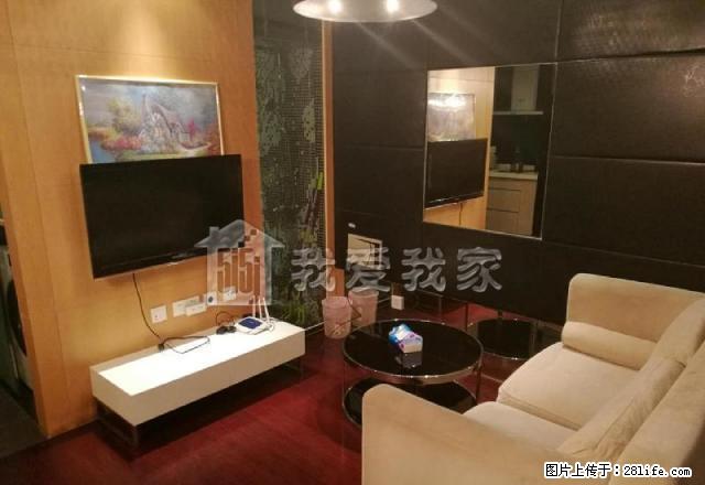 新街口 夫子庙 观城 家电齐全 精致装修 高档单身公寓 看房 - 房屋出租 - 房屋租售 - 南京分类信息 - 南京28生活网 nj.28life.net