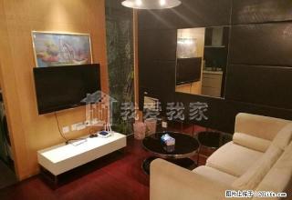 新街口 夫子庙 观城 家电齐全 精致装修 高档单身公寓 看房 - 南京28生活网 nj.28life.net