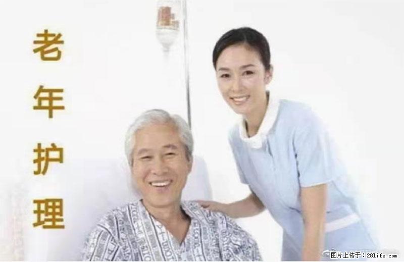 上海国企养老院，星级酒店环境，招聘养老护工 - 职场交流 - 南京生活社区 - 南京28生活网 nj.28life.net