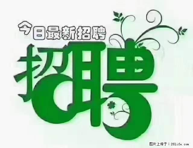 【招聘摄像师】待遇：试用期6000元/月，转正7000元/月+五险一金+餐补+节日福利+奖金 - 职场交流 - 南京生活社区 - 南京28生活网 nj.28life.net
