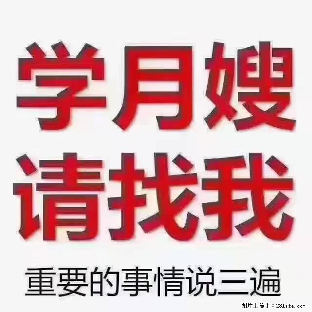 【招聘】月嫂，上海徐汇区 - 职场交流 - 南京生活社区 - 南京28生活网 nj.28life.net