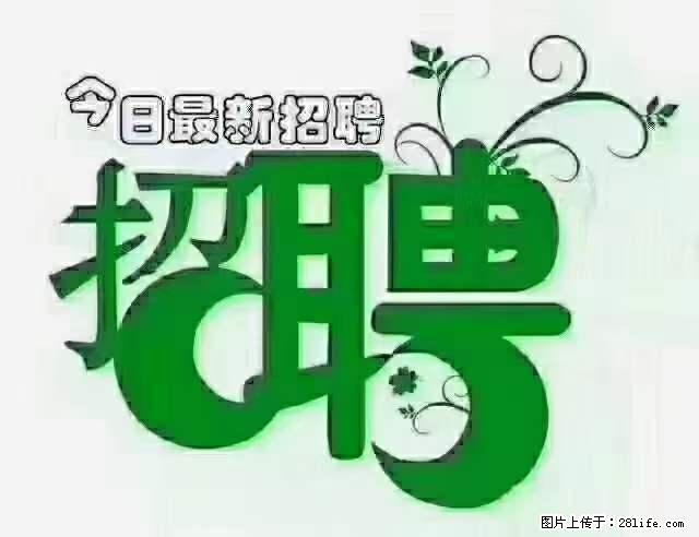 上海青浦区招仓管 - 职场交流 - 南京生活社区 - 南京28生活网 nj.28life.net