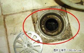 南京建邺区专业维修卫生间下水道臭味 专业维修疑难杂症 - 南京28生活网 nj.28life.net