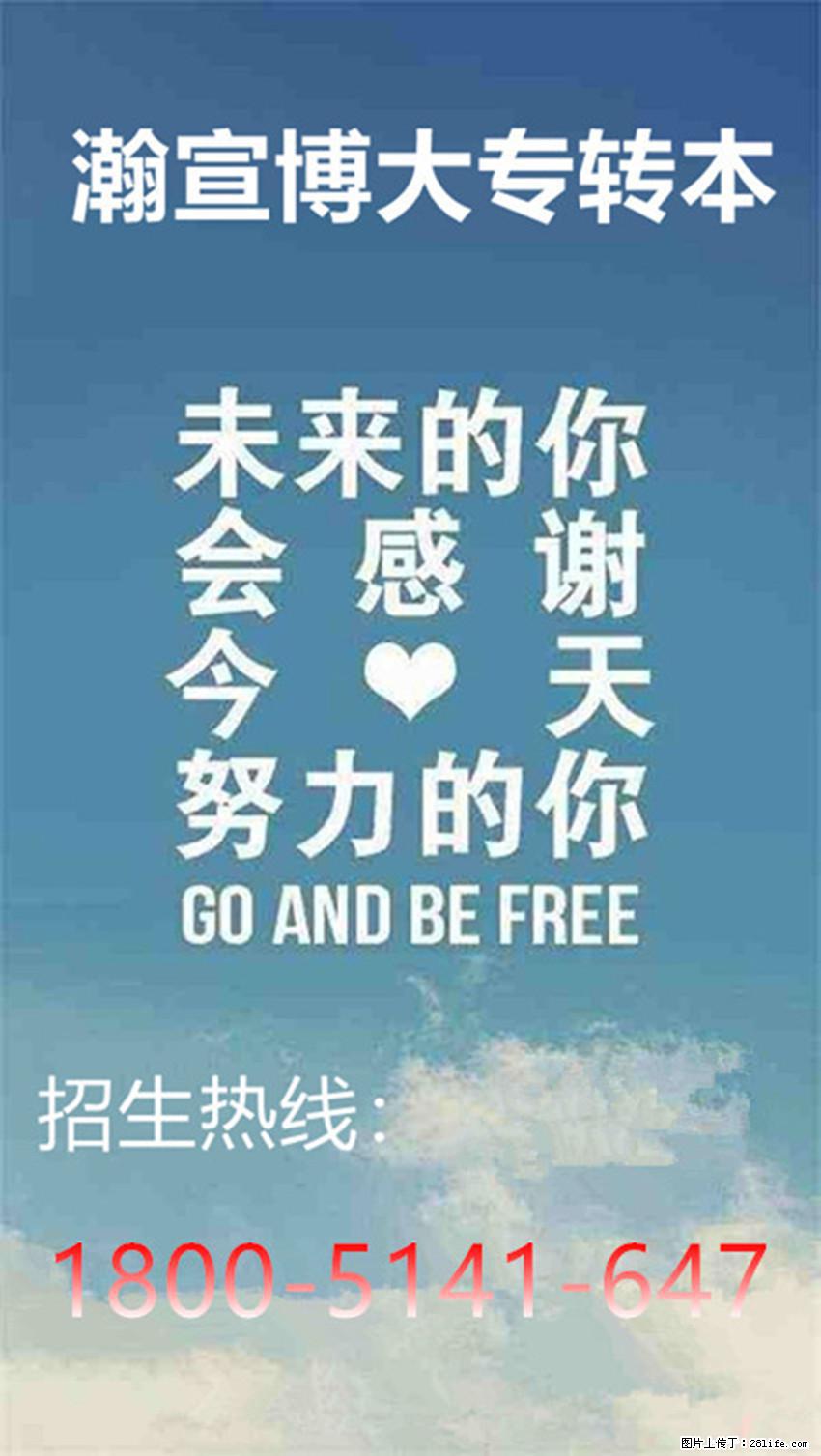 当你备考五年制专转本时，是选择校内转本班还是校外辅导班呢？ - 其他广告 - 广告专区 - 南京分类信息 - 南京28生活网 nj.28life.net
