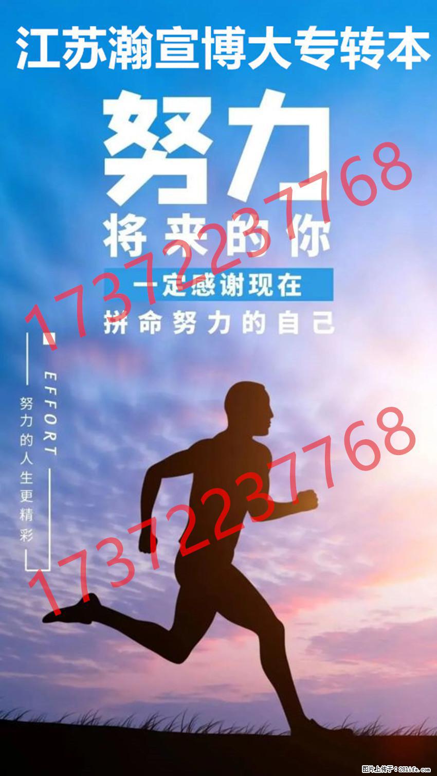 苏州城市学院五年制专转本招生专业信息与应试提分技巧分享！ - 网站推广 - 广告专区 - 南京分类信息 - 南京28生活网 nj.28life.net
