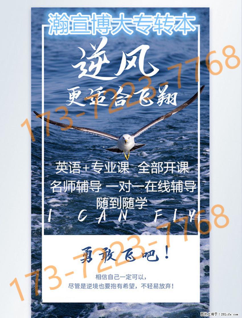 深耕五年制专转本食品科学与工程专业以扎实备考筑牢未来发展根基！ - 网站推广 - 广告专区 - 南京分类信息 - 南京28生活网 nj.28life.net