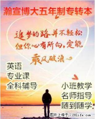 五年制专转本志愿填报：抓稳关键、稳上本科 - 综合信息 - 其他综合 - 南京分类信息 - 南京28生活网 nj.28life.net
