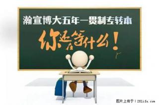 五年制专转本英语复习指南：从基础薄弱到高效提分 - 南京28生活网 nj.28life.net