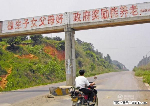 全面两孩政策计划明年元旦起实施 夫妻可延长生育假 - 南京生活资讯 - 南京28生活网 nj.28life.net