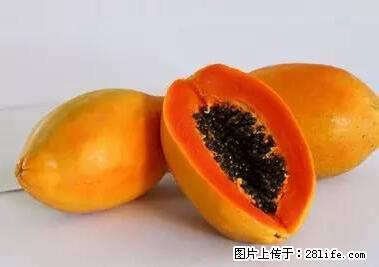 晕车、脚气、牙齿变黄、皮肤粗糙？学会这些三分钟搞定！ - 南京生活资讯 - 南京28生活网 nj.28life.net