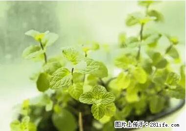 晕车、脚气、牙齿变黄、皮肤粗糙？学会这些三分钟搞定！ - 南京生活资讯 - 南京28生活网 nj.28life.net