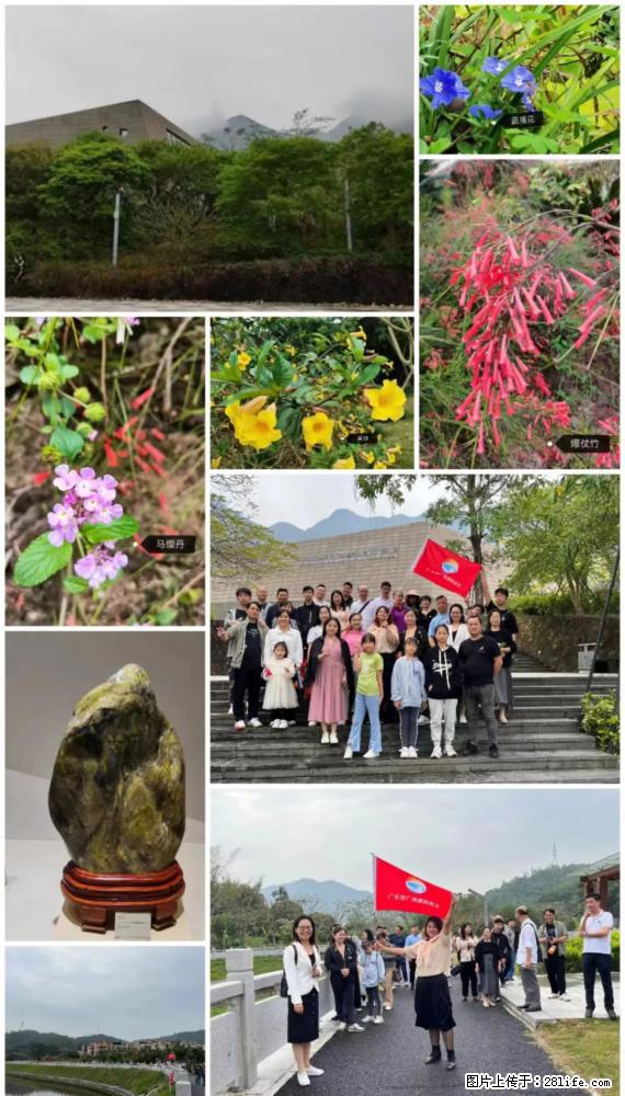 “粤灌文化 美好生活”油茶文化主题活动在广东深圳成功举办 - 南京生活资讯 - 南京28生活网 nj.28life.net