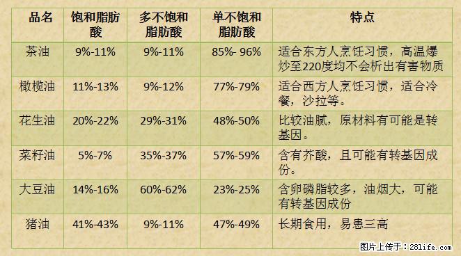揭秘茶油的5大核心营养成分！被称为人体健康的“守护盾”！ - 南京生活资讯 - 南京28生活网 nj.28life.net