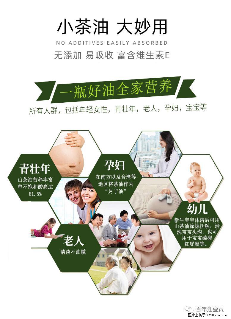 世界没有真相，只有认知，最好的食用油是中国的山茶油！ - 南京生活资讯 - 南京28生活网 nj.28life.net