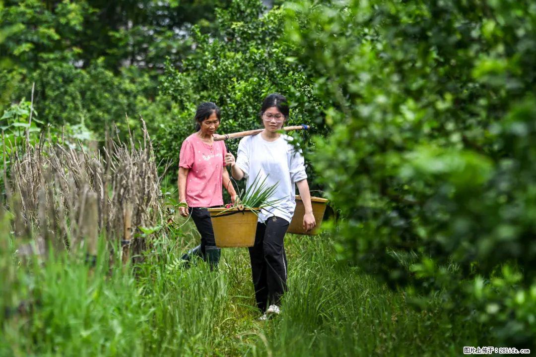 全网追的“扁担女孩”，找了一份暑假工，时薪12元 - 南京生活资讯 - 南京28生活网 nj.28life.net