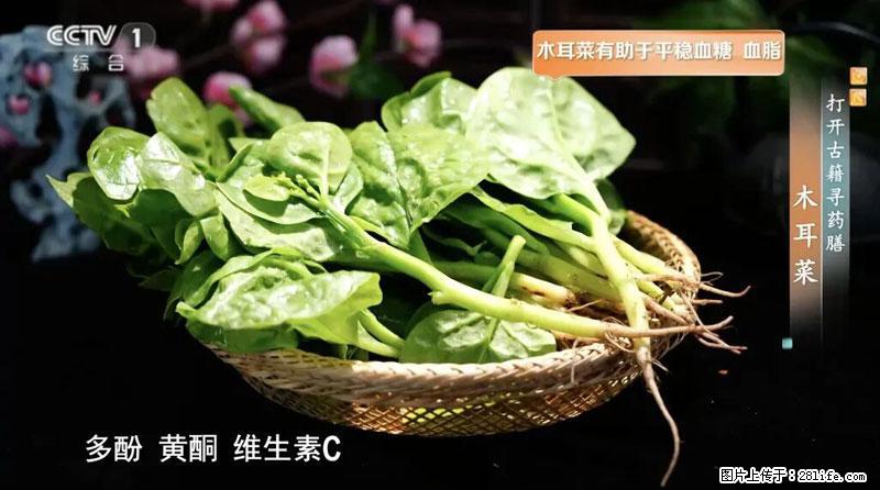 比牛奶补钙还厉害!凉血解毒、稳血糖...这菜冬天必吃,很多人却当草 - 南京生活资讯 - 南京28生活网 nj.28life.net
