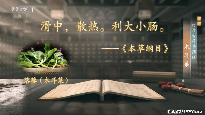 比牛奶补钙还厉害!凉血解毒、稳血糖...这菜冬天必吃,很多人却当草 - 南京生活资讯 - 南京28生活网 nj.28life.net