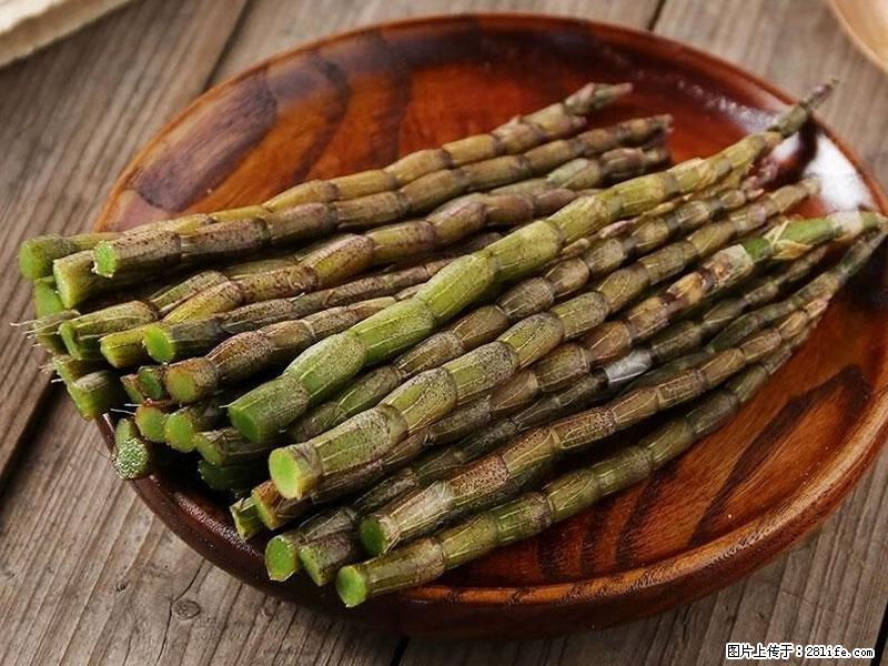 铁皮石斛的作用与功能主治 - 南京生活资讯 - 南京28生活网 nj.28life.net