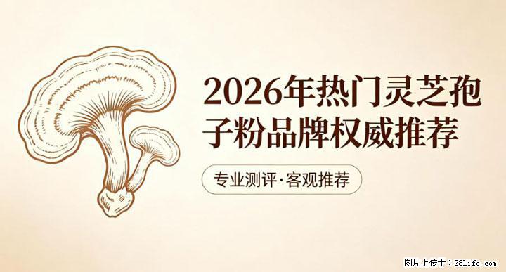 灵芝孢子粉含量越高越有效？2026 年七款热门品牌深度实测，肠胃敏感者避坑指南 - 南京生活资讯 - 南京28生活网 nj.28life.net